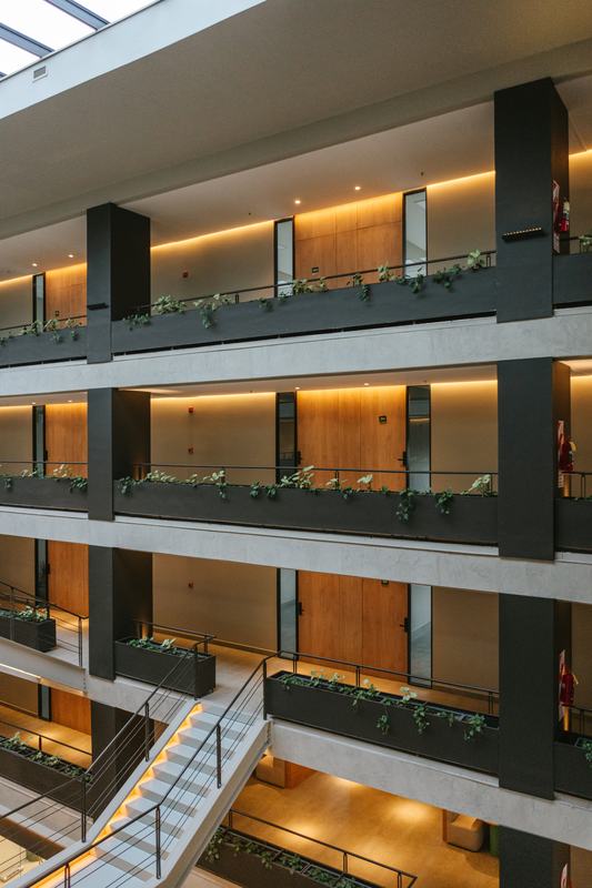 Pasillo con las puertas de las oficinas de Foresta en Maipú